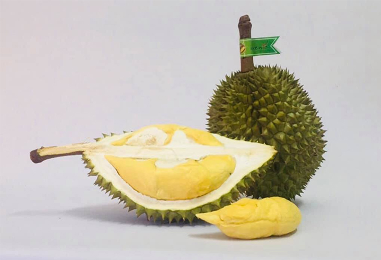 sau-rieng-ri6-1583